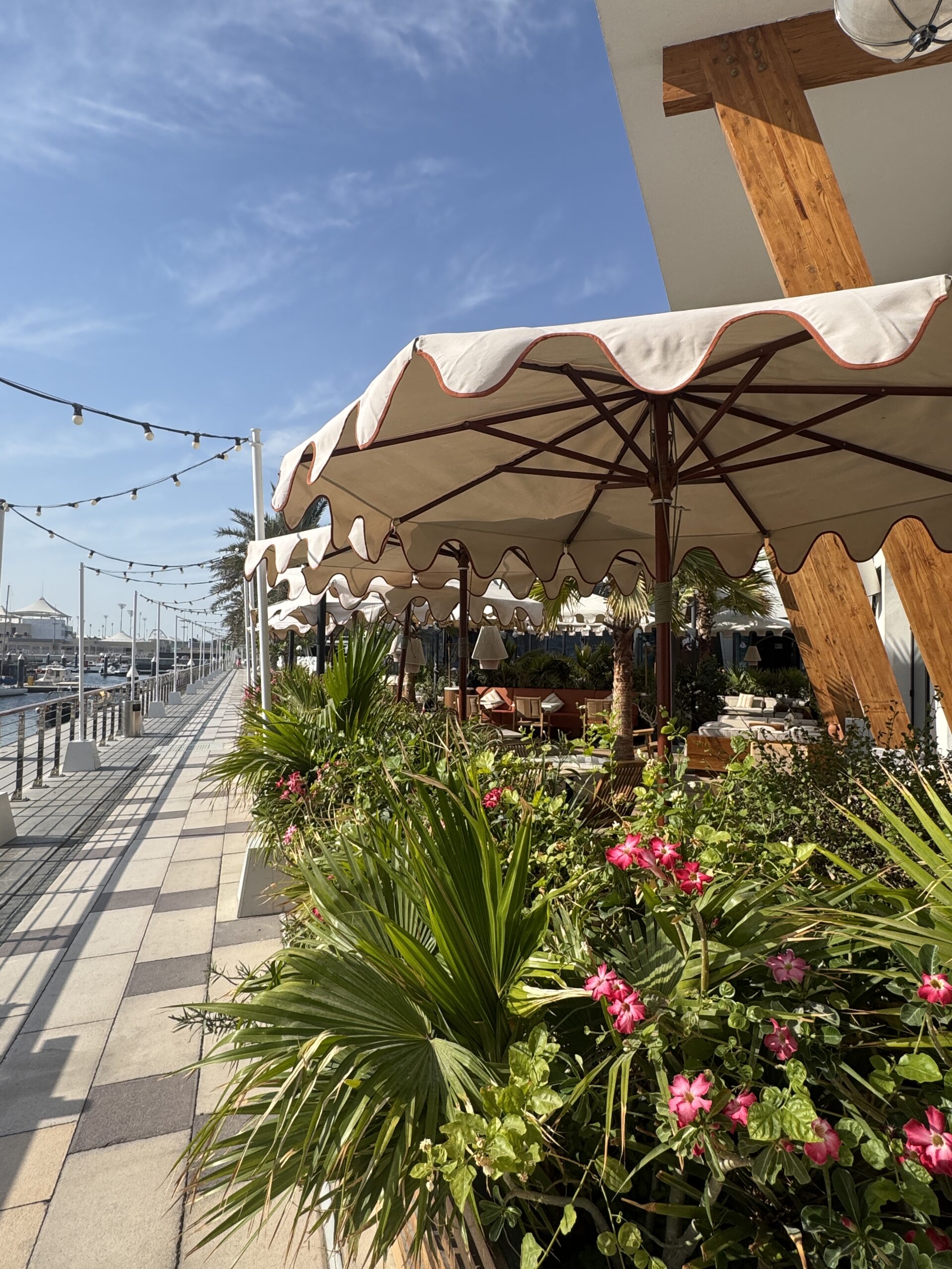 20250504_122319432_iOS