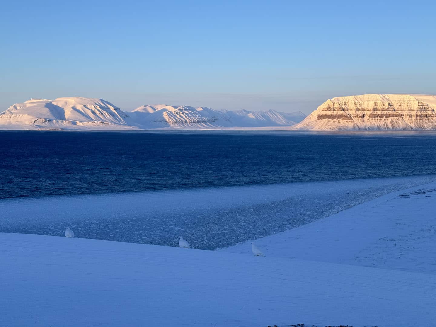 Svalbard 1